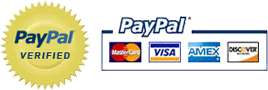 secure online payment